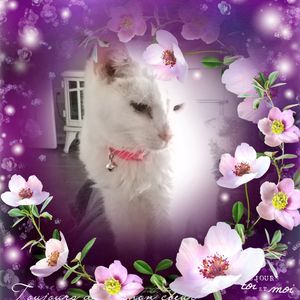 Meet your Posher, Barbara